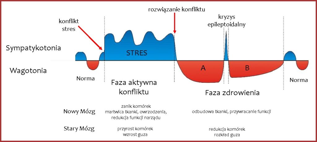 dwufazowość zachorowań